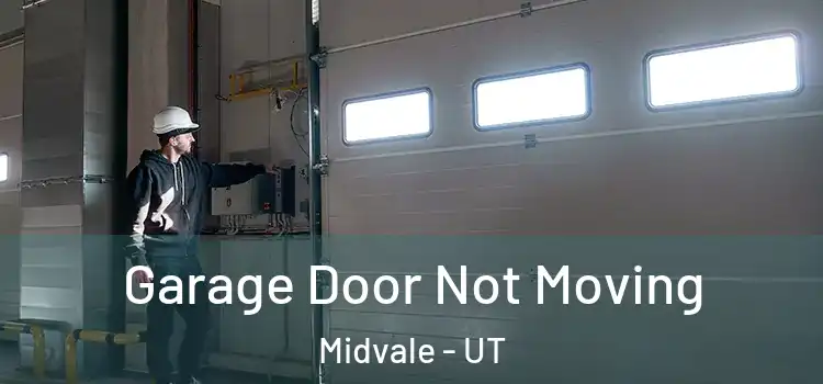  Garage Door Not Moving Midvale - UT